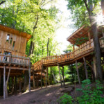 Gites insolites de la Petite Forestière cabane dans les arbres