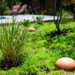 LNP réalisations jardin et piscine